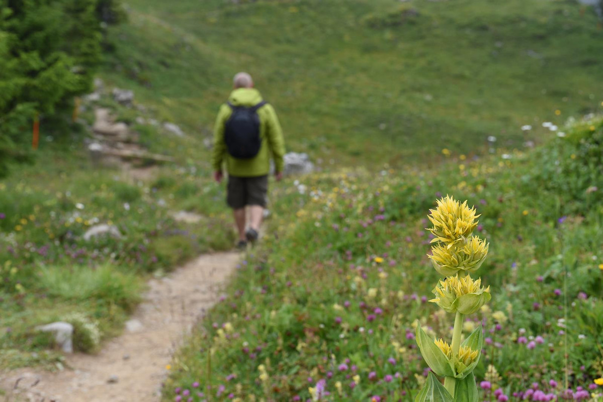 Huyendo del COVID a los Alpes (2020) - Blogs de Suiza - De casa a Grindelwald (Zona de Interlaken) (30)