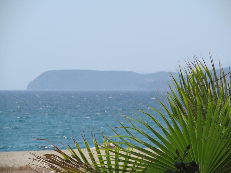 Slika