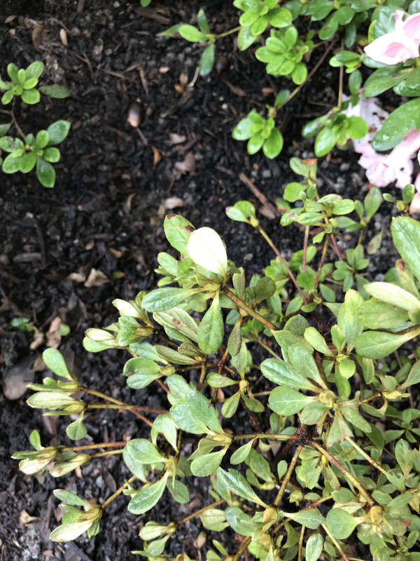 6BFEE9BF-052F-4F1C-8C77-954022F7E4B5