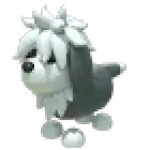 English Sheepdog