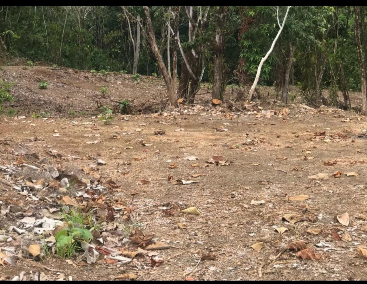 Land in Esterillos Oeste