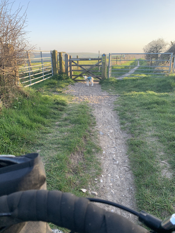 0033C8B9-D052-4439-A8C9-C629B0D9DB0F