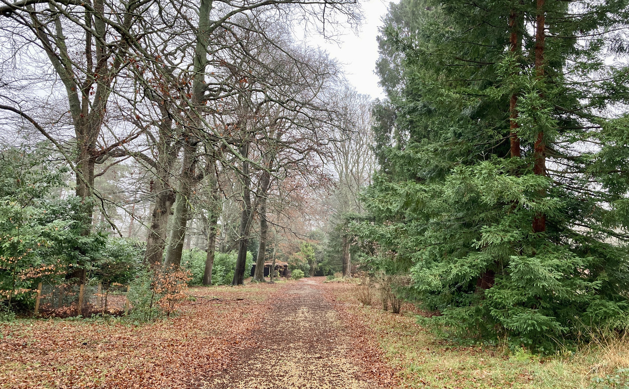 509E6238-DD27-494E-9185-80D2EB5B1F3E