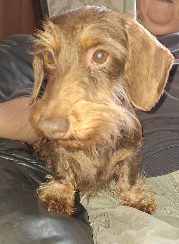 [Image: 20240530-101158.jpg]