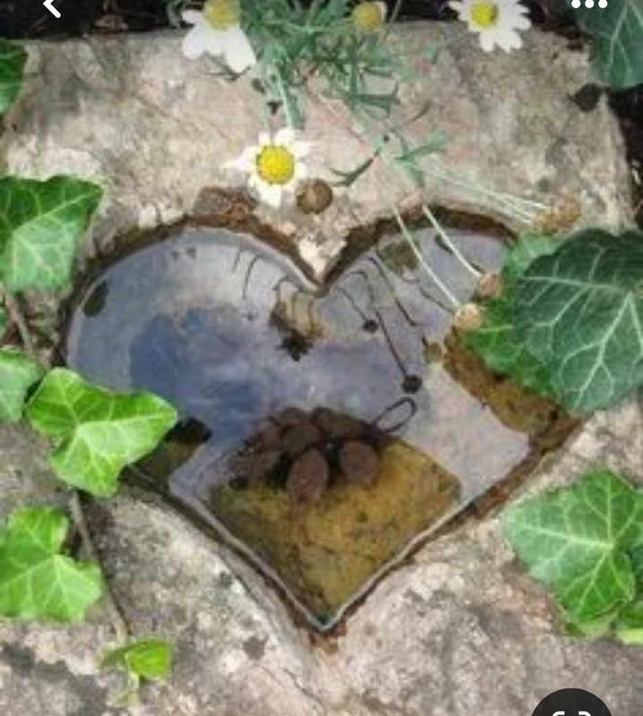 Screenshot_20240405_202300_Pinterest