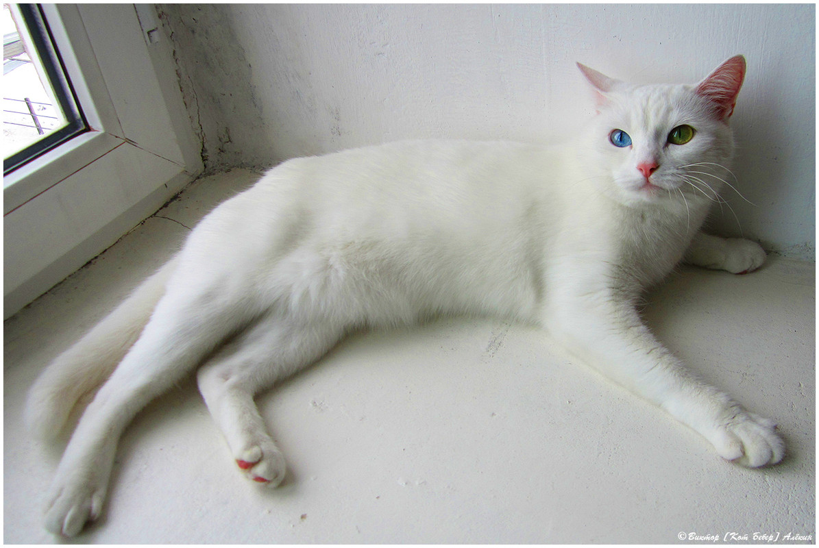 2-IMG_6472 копия