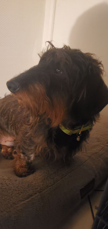 [Image: IMG-20241215-181753.jpg]