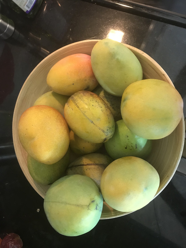 MangoBowl62018