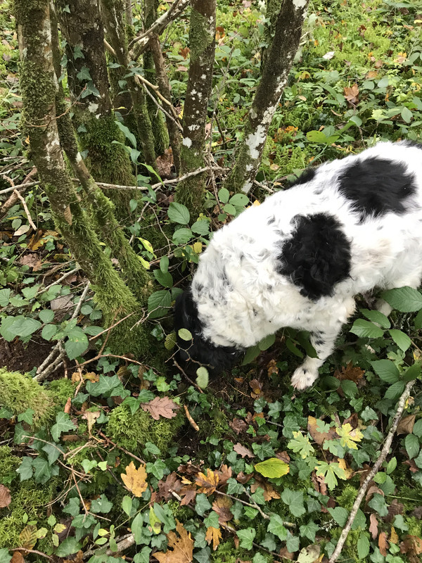 E388B7F4-B5AC-407A-9769-66492D06A205