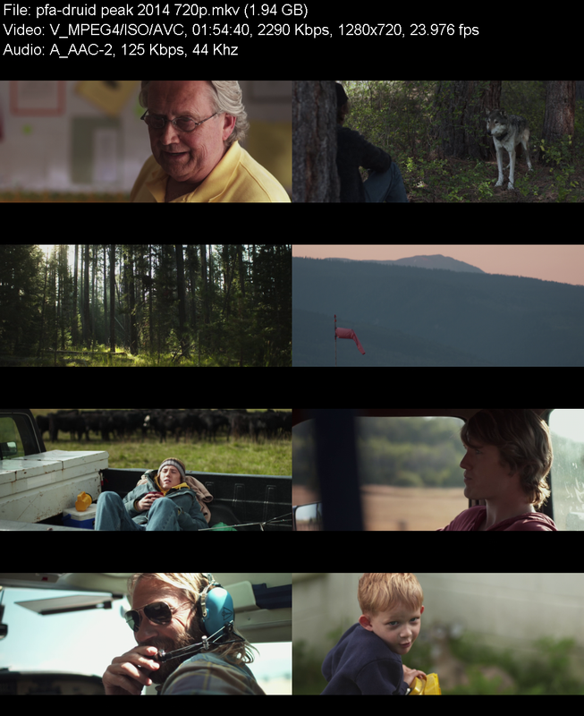 druid-peak-2014-720p-web-h264-pfa.png