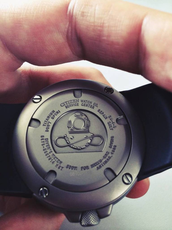 10264051_4276220279713_4334092483185988945_o