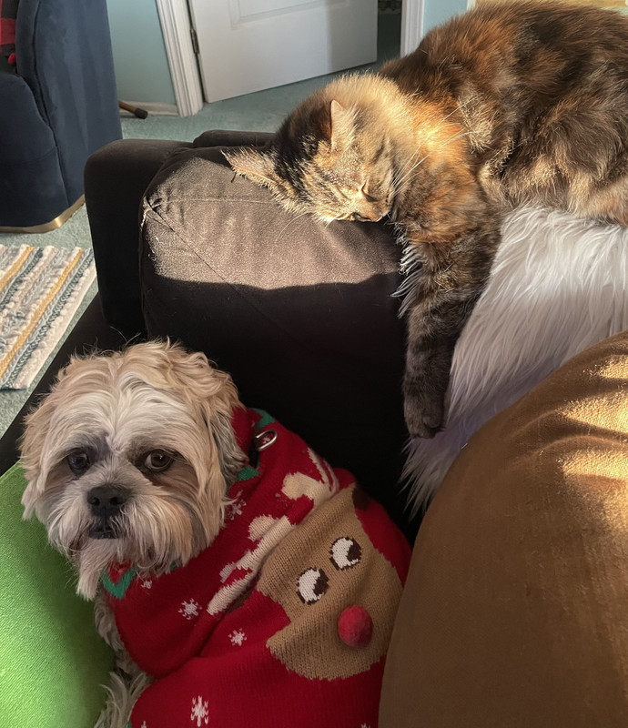 C027D8E0-5647-44F4-B489-4225F996D10C_1_201_a