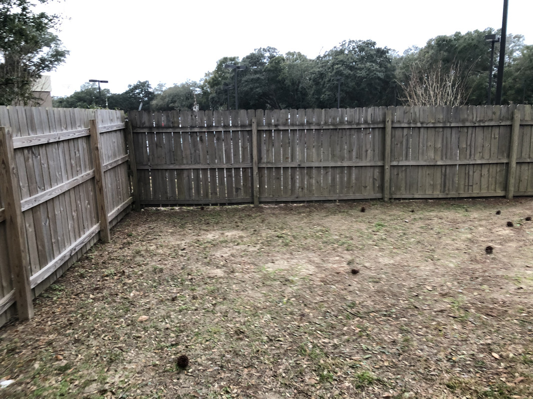 B521C9CA-2718-480C-A7A6-9EAFA0F759C7