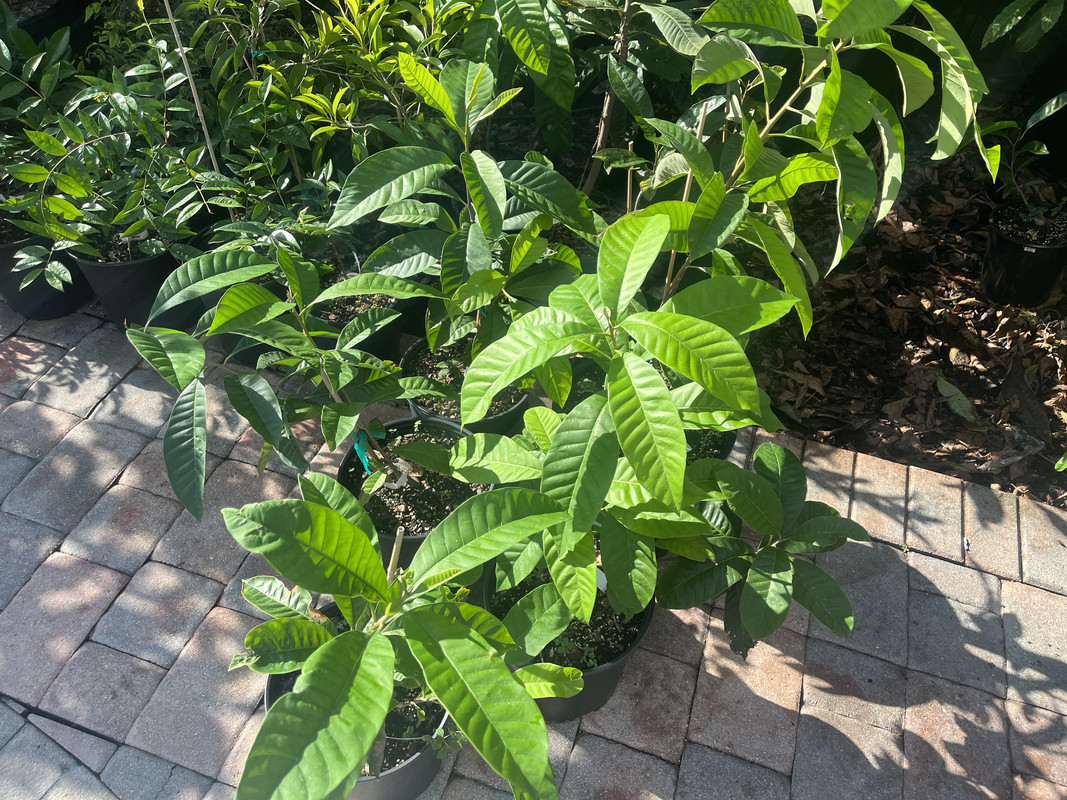 6940456A-2EA6-4CC2-95F4-8F18AB085251