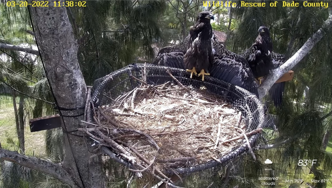 30A50005-462C-4BFF-B847-B509A445FC94