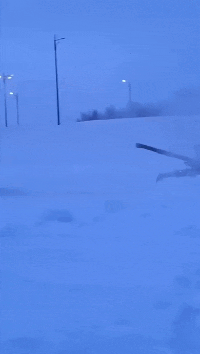 https://i.postimg.cc/L5pYpwCQ/video-2026-04-29-02-39-14-(1).gif