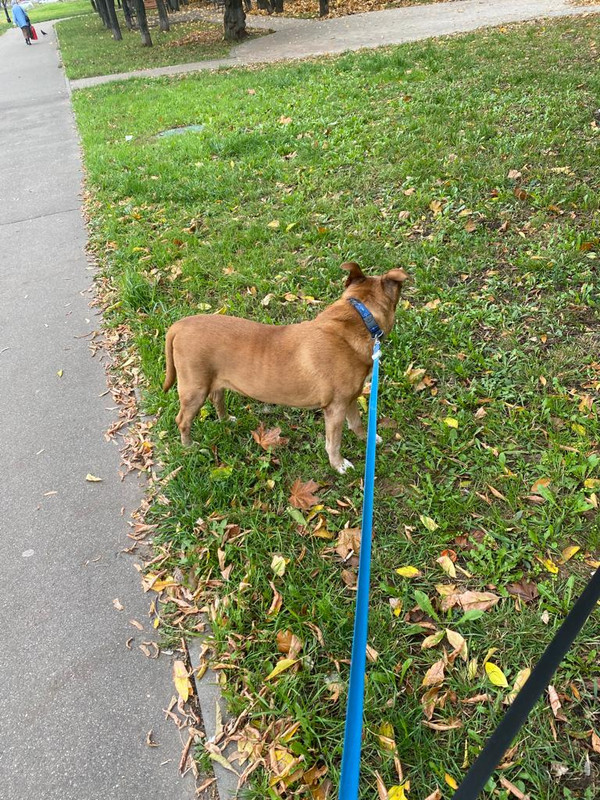 D1F6FBD8-2AF9-484A-BD8A-1E10EC47F219