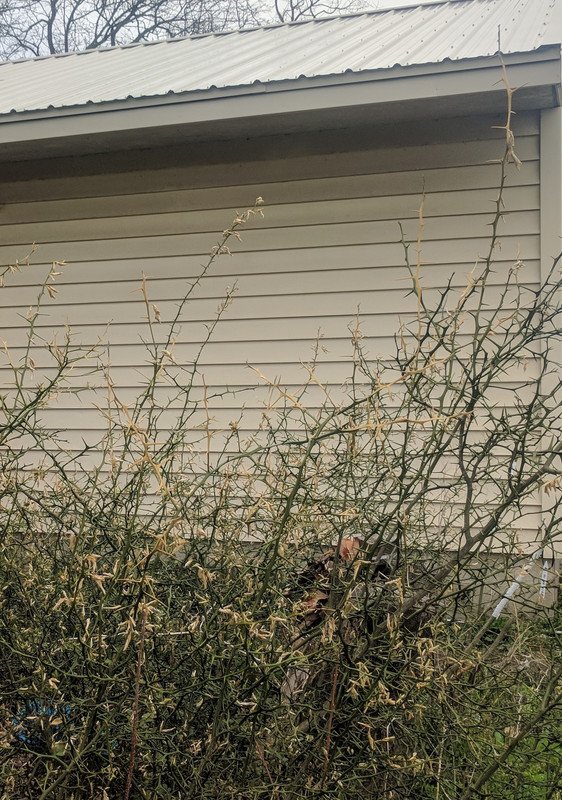 Apr 8 2019 G