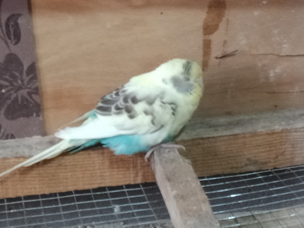 ٢?١٨-?٥-١٤ ١٢.١٧.٥٨