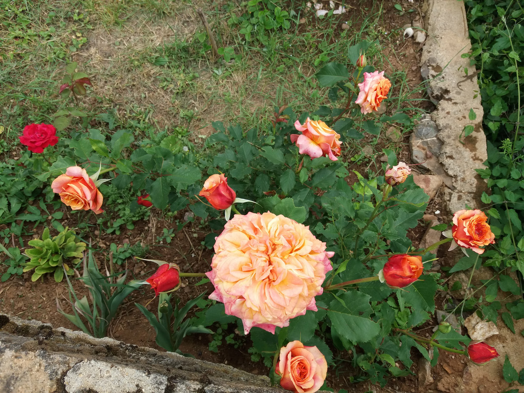 20190602_135023