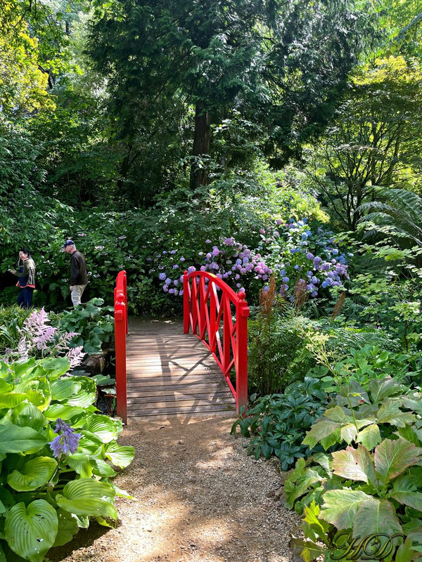 bridge-abbots-HD.jpg