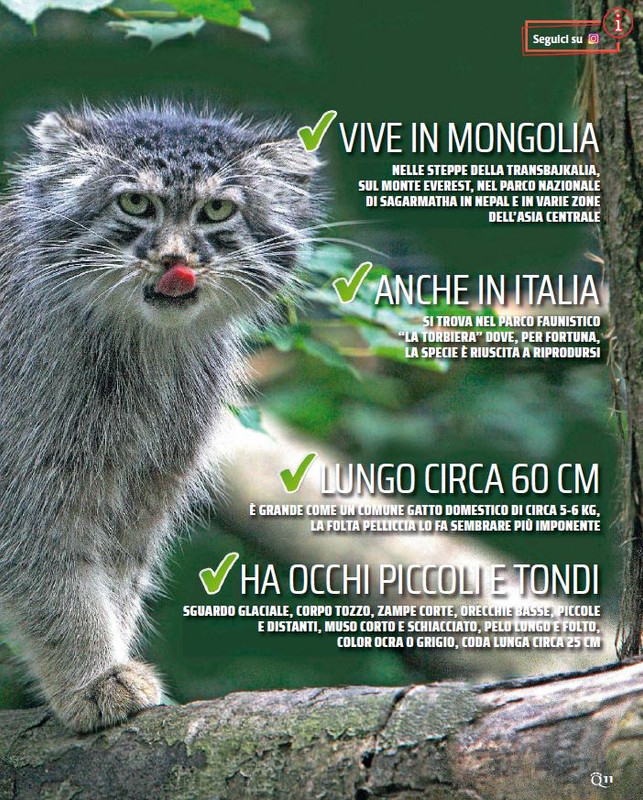 QuattroZampe Apr 2023 (2)