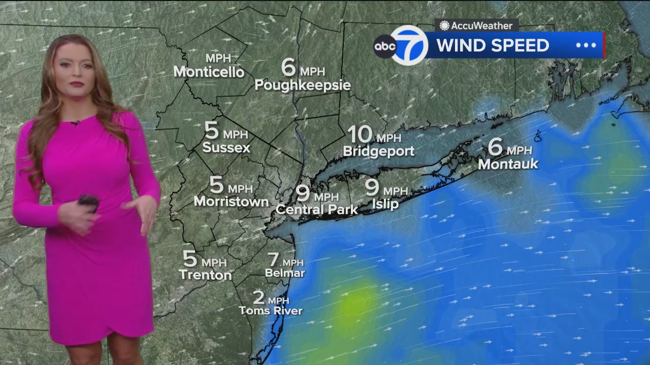 Eyewitness News Mornings at 10_20250113_15001600.ts_snapshot_42.22.573