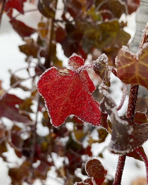 [Image: 2-F94-B34-F-BC54-4268-9-F8-E-006-FCF98-AE63.jpg]