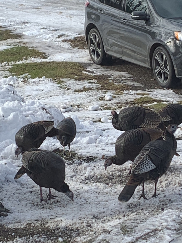 F55A2F78-7546-4097-9E5D-493F8F409D4A