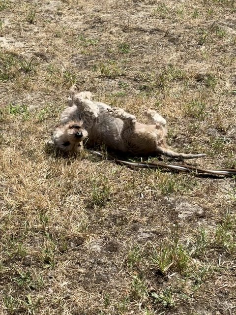 [Image: IMG-0453.jpg]