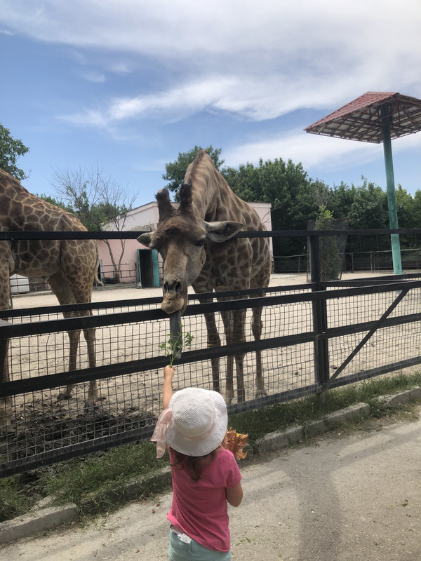 D93848B4-6C7B-465F-BB8C-6C57A3B8951D