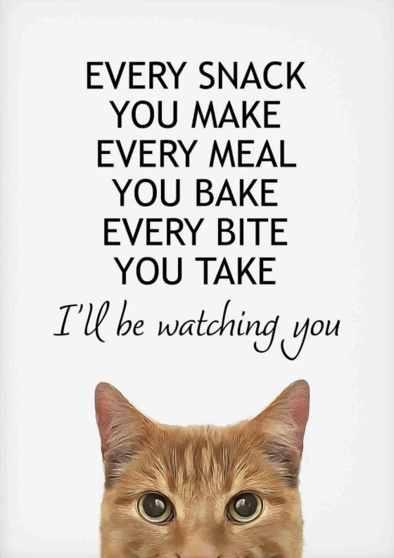 54e99c72 edca 44bc 9097 8771f6eb1ca9