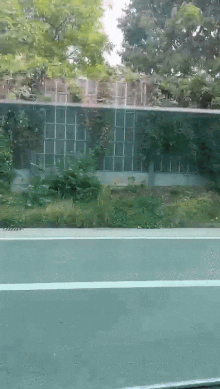 lul-1.gif
