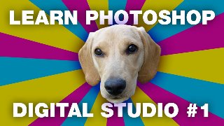 Learn Photoshop & Make a Meme Introducing the Interface, Layers, Cutouts & Shapes