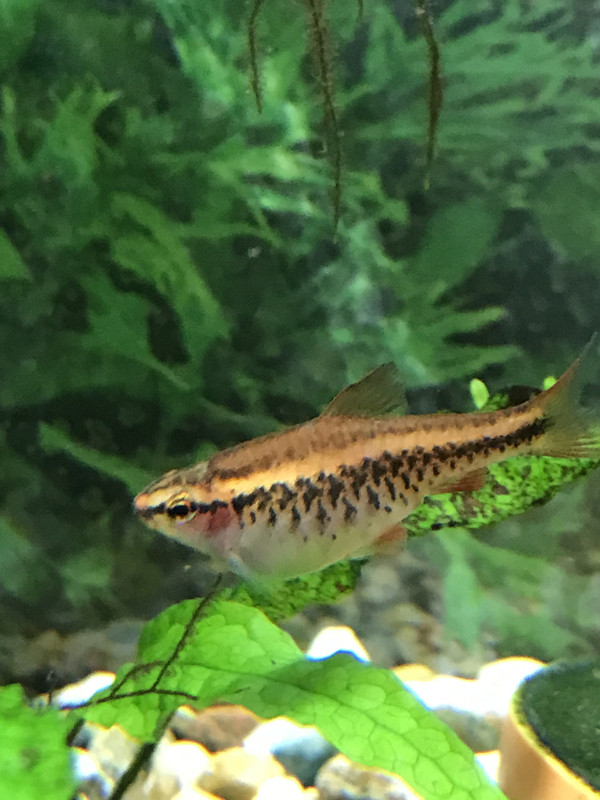 FC18698C-1F76-443F-85FE-48B884781989