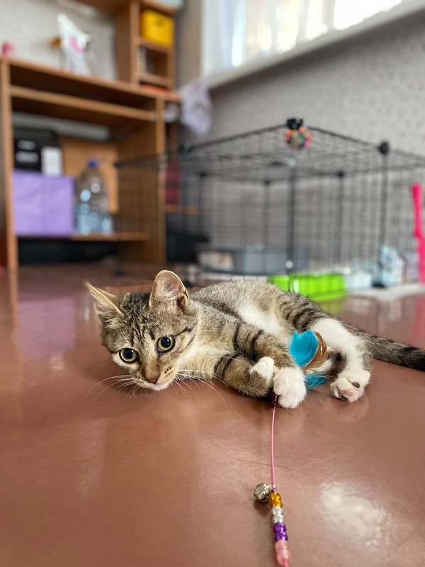 B12ECD61-917F-4DF6-8AE4-9F80D7EB14E4