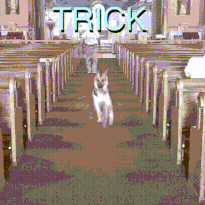 Whats App Video2025 11 13at19 04 55 e14c76ac ezgif com resize