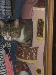 A65-E2047-603-C-4481-9-E46-F0-F7-A8-AFA8