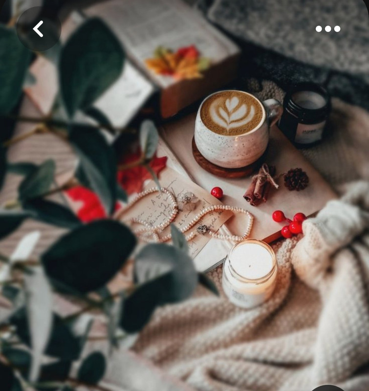 Screenshot_20230806_235502_Pinterest