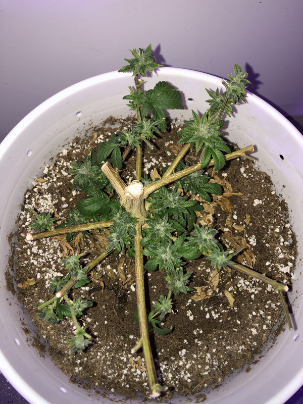 DC0D35AA-B2EF-44B8-8F0A-6593AF432DAD