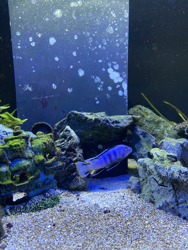 2DDBE24F-A4FB-4381-89E4-B75CA31E4F30