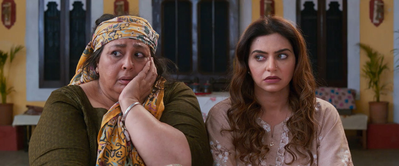 Ni Main Sass Kuttni 2 2024 WebRip [Punjabi] 480p, 720p ESub Screenshot