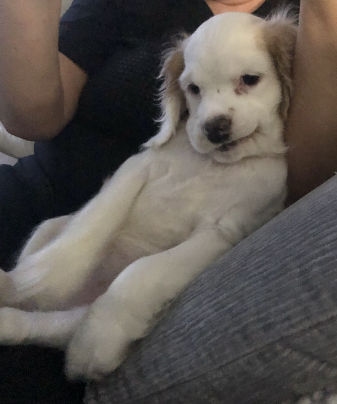 C819060A-2D5F-4A4E-982F-CC860A8B3344