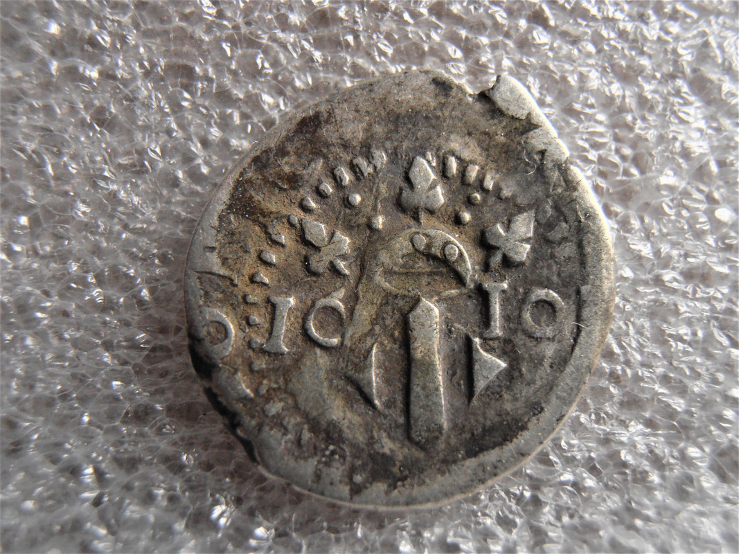 ¡PE(z)QUEÑINAS, si gracias! - Página 2 P4061956-2