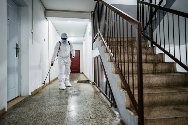 tampa pest control