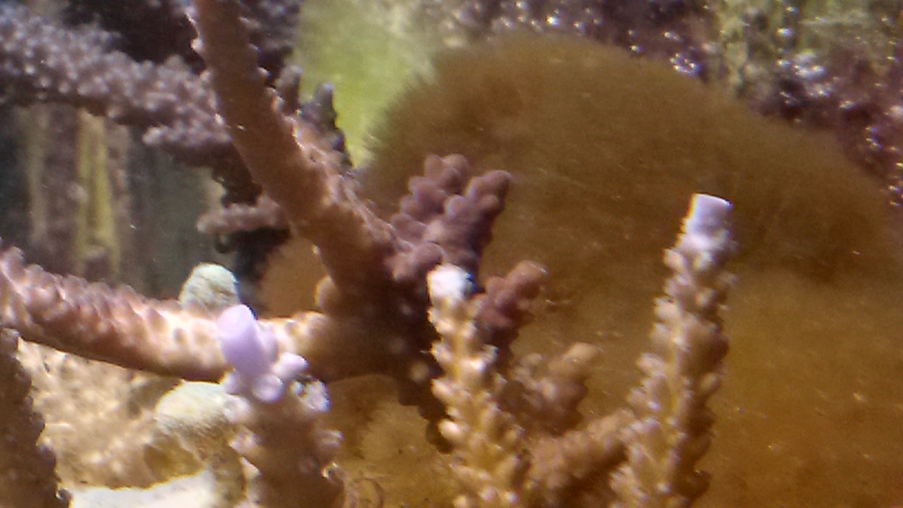 20140520_125612_Richtone(HDR)