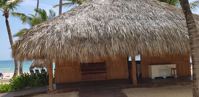 Hotel Grand Sirenis Punta Cana + Samana + Cortecito - Blogs de Dominicana Rep. - DIA 6 - HOTEL GRAND SIRENIS PUNTA CANA (4)