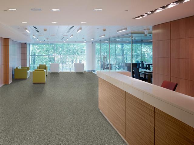 Комерційний ковролін: повний гід з вибору класу зносостійкості