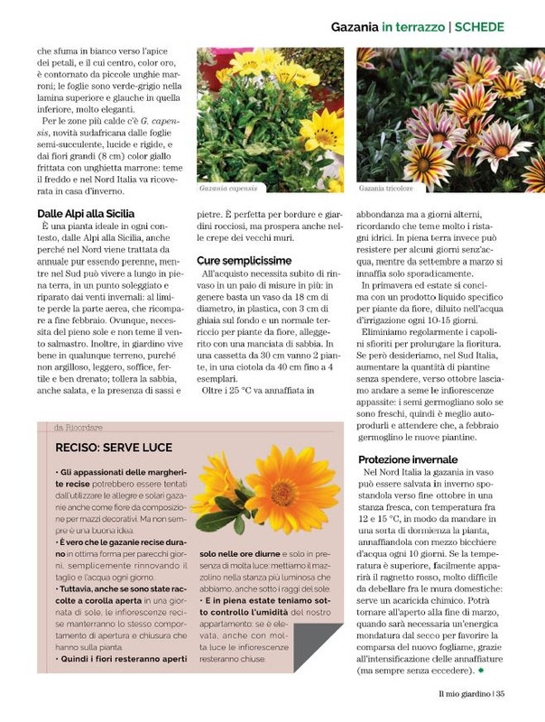 Il Mio Giar Ago-Set 2022 (6)