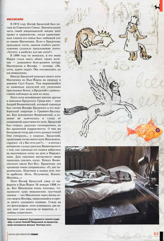 Друг кошек № 8 2009-58